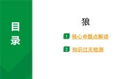 2024成都语文中考试题研究备考 古诗文阅读 专题一 文言文阅读 狼（练）【课件】