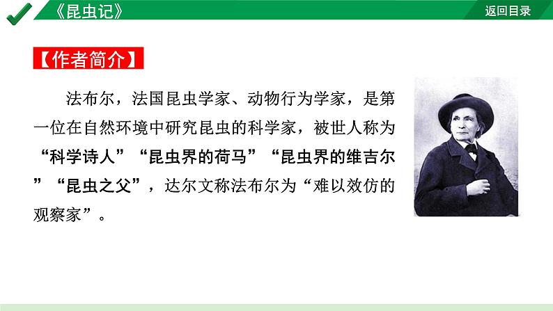 2024成都语文中考试题研究备考第二部分名著阅读12名著思维导图-《昆虫记》【课件】第2页