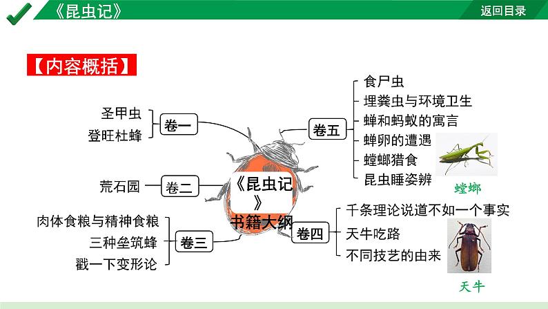 2024成都语文中考试题研究备考第二部分名著阅读12名著思维导图-《昆虫记》【课件】第6页