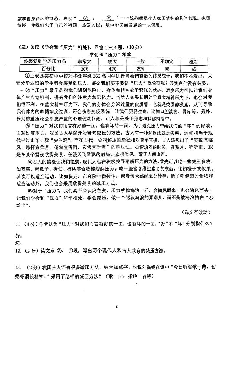 2024年黑龙江省哈尔滨市第六十九中学校中考模拟语文试题第3页