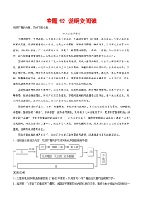 专题12 说明文阅读-2023-2024学年八年级语文下册期末专项复习（全国通用）
