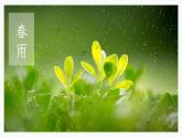 人教部编版初中语文七年级上册 《3.雨的四季》课件+教案
