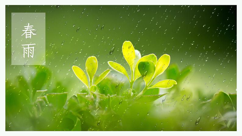 人教部编版初中语文七年级上册 《3.雨的四季》课件+教案02