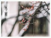 人教部编版初中语文七年级上册 《3.雨的四季》课件+教案