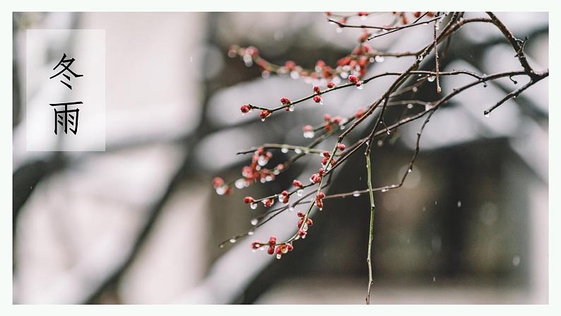 人教部编版初中语文七年级上册 《3.雨的四季》课件+教案05
