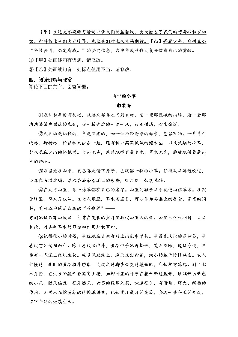 安徽省2024届中考语文试卷（答案不全）第3页