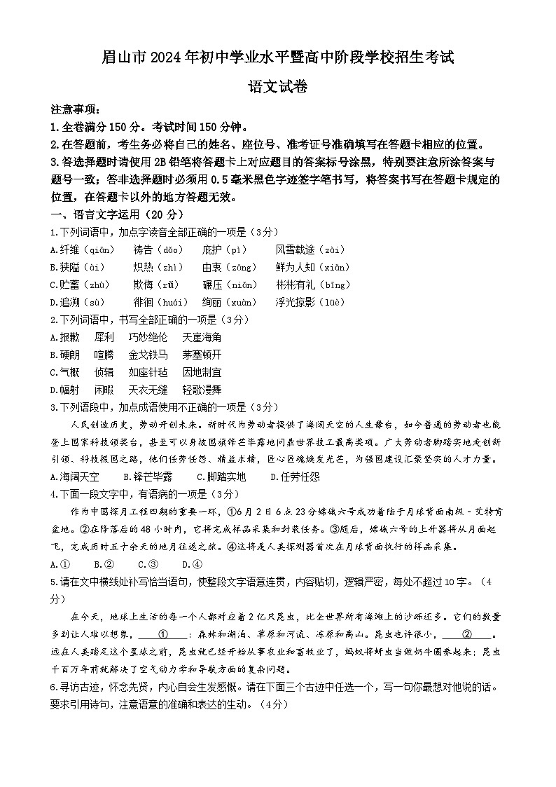 2024年四川省眉山市中考语文真题(无答案)01