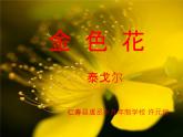 部编版七年级上册第七课《金色花》课件、教案、作业设计、课堂实录（内含音视频）