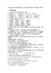 期末复习训练题-2023-2024学年统编版语文九年级下册