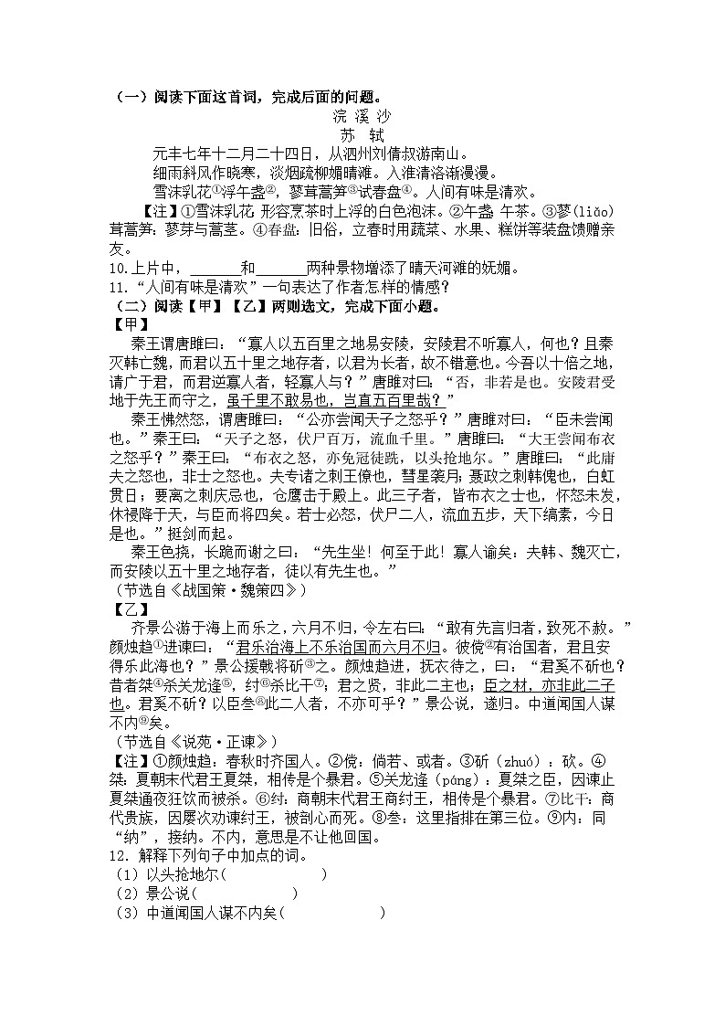 期末复习训练题-2023-2024学年统编版语文九年级下册03