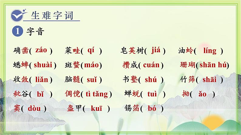 人教版语文七年级上册 第3单元 9  从百草园到三味书屋 PPT课件+教案04