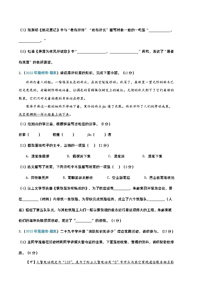 【部编版语文八年级下册】 期末试卷语文（安徽卷）02