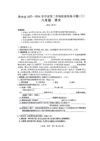 [语文]贵州省毕节市金沙县第四中学2023～2024学年八年级下学期6月月考语文试题（含答案）