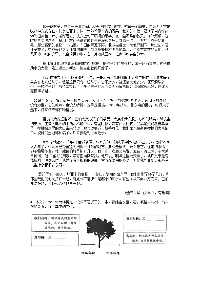 [语文][一模]浙江省杭州市上城区2024年中考试卷03