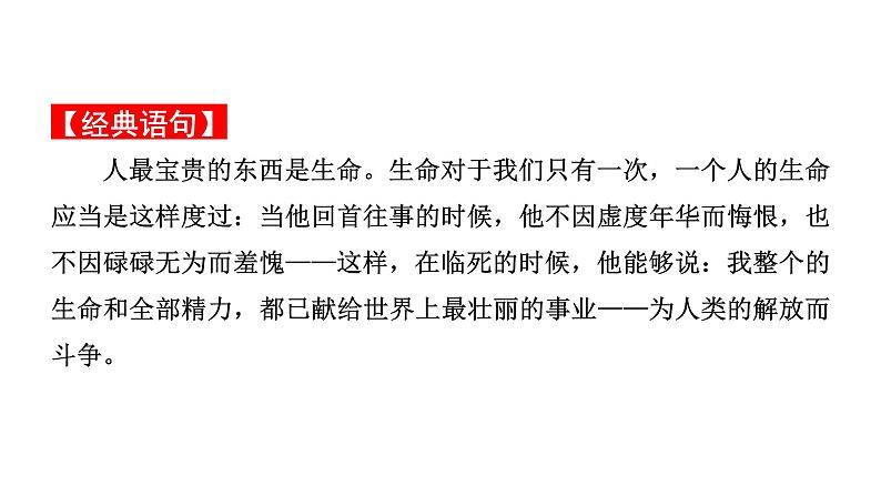 2024成都中考语文备考 名著思维导图《钢铁是怎样炼成的》（课件）第5页