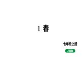2024春人教部编版七上语文 第1课 春 教学课件