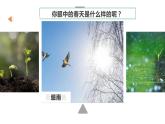 2024春人教部编版七上语文 第1课 春 教学课件