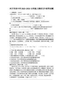 广东省梅州市兴宁齐昌中学2023-2024学年七年级上学期期中考试语文试题