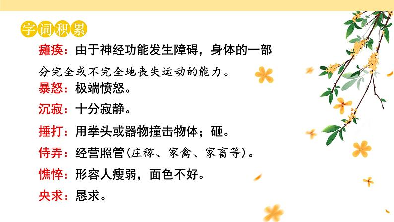 人教部编版初中语文七年级上册 《5.秋天的怀念》课件+教案08