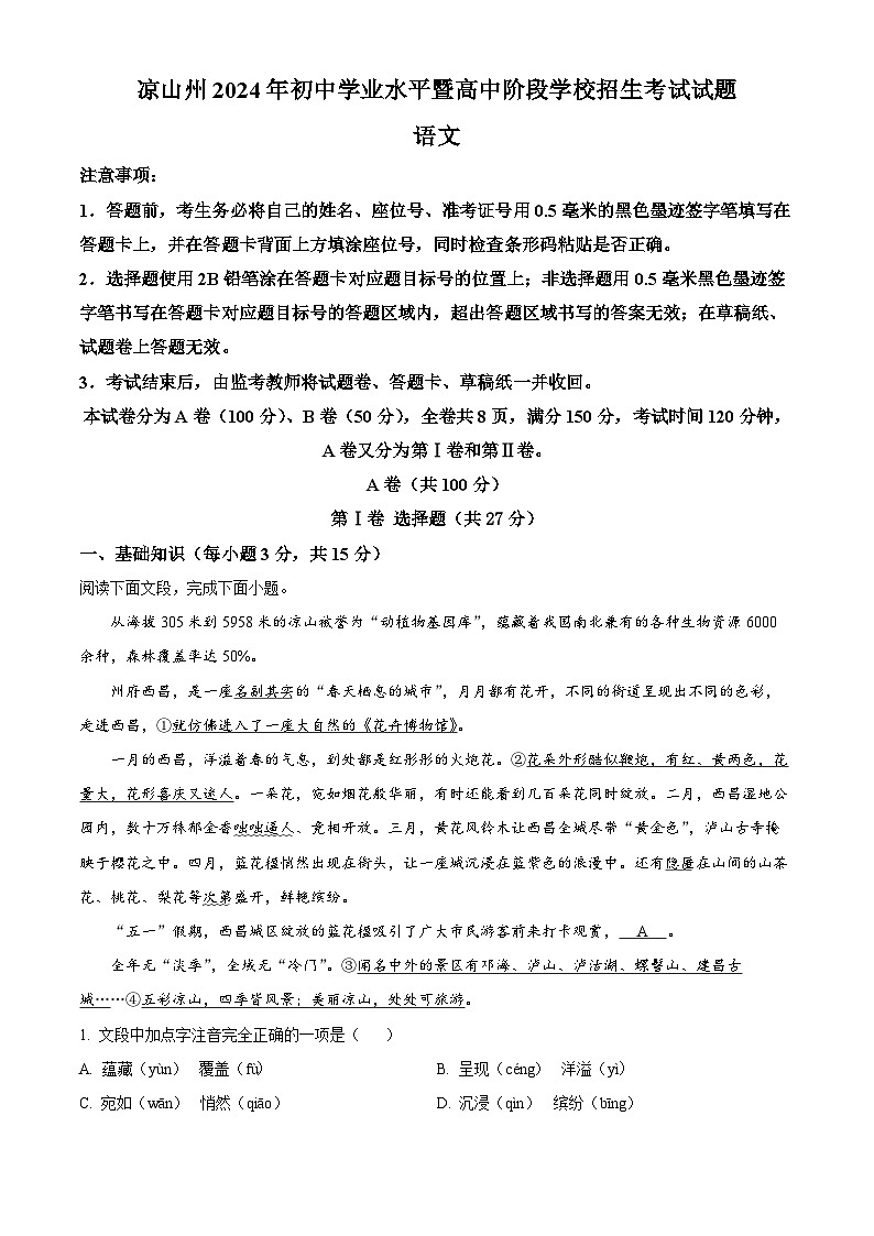 2024年中考真题—四川省凉山州语文试题（解析版）01