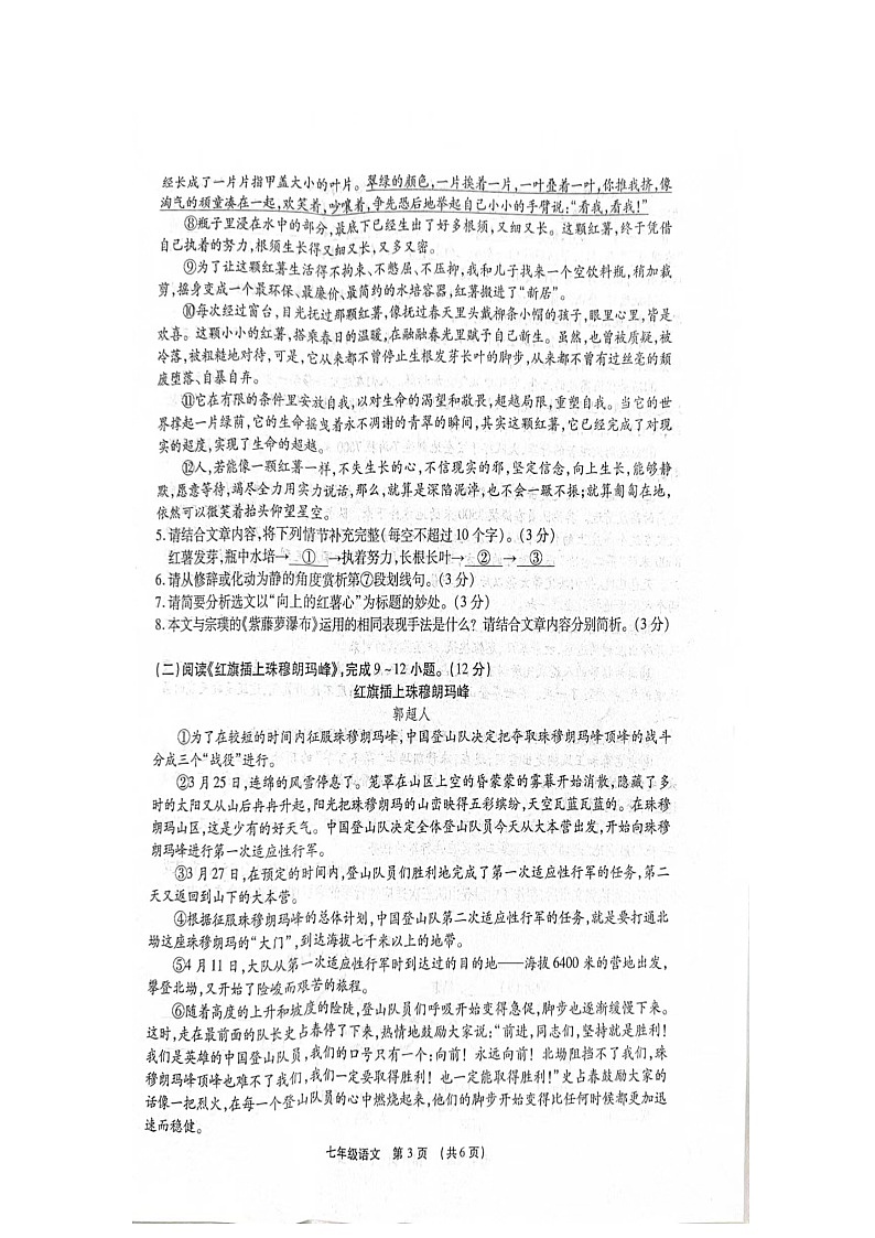 河南省临颍县2023—2024学年七年级下学期期末考试语文试题03