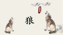 初中语文狼授课课件ppt
