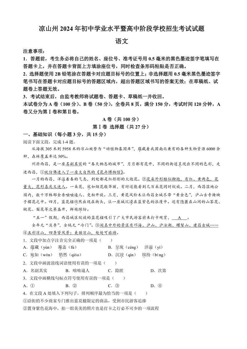 [语文]2024年四川省凉山州中考语文真题(无答案)01