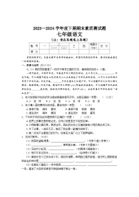 河南省驻马店市汝南县2023-2024学年七年级下学期7月期末语文试题