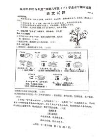 浙江省温州市2023-2024学年八年级下学期6月期末语文试题