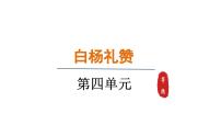语文八年级上册白杨礼赞多媒体教学ppt课件