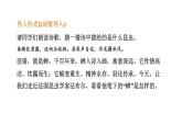 第21课《蝉+》课件2024-2025学年统编版语文八年级上册