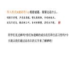 第21课《蝉+》课件2024-2025学年统编版语文八年级上册