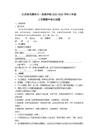 江苏省无锡市天一实验学校2022-2023学年八年级上学期期中语文试题