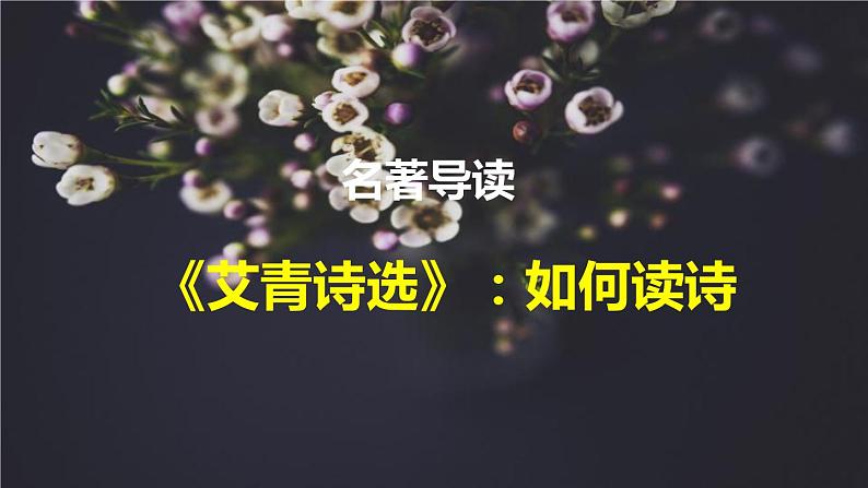 九上语文第一单元名著导读〈艾青诗选〉同步课件第1页