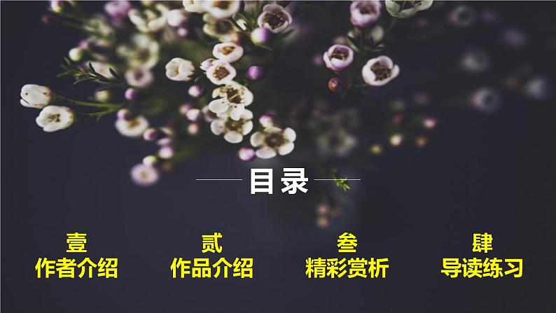 九上语文第一单元名著导读〈艾青诗选〉同步课件第3页