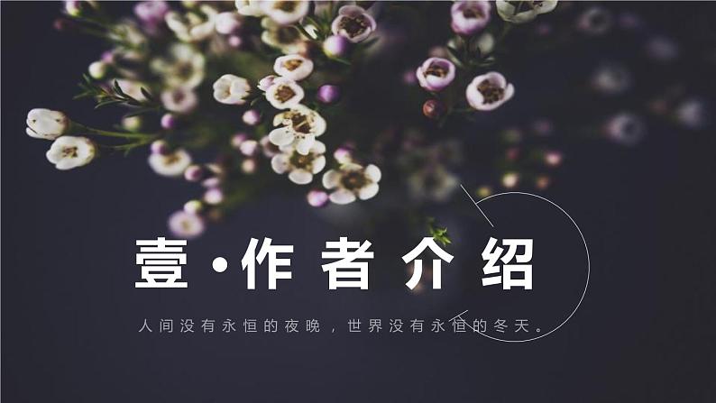 九上语文第一单元名著导读〈艾青诗选〉同步课件第4页