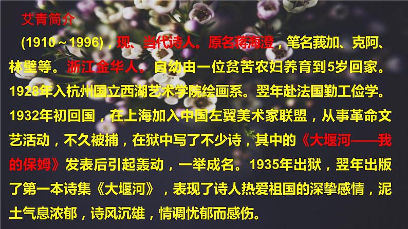 九上语文第一单元名著导读〈艾青诗选〉同步课件第5页