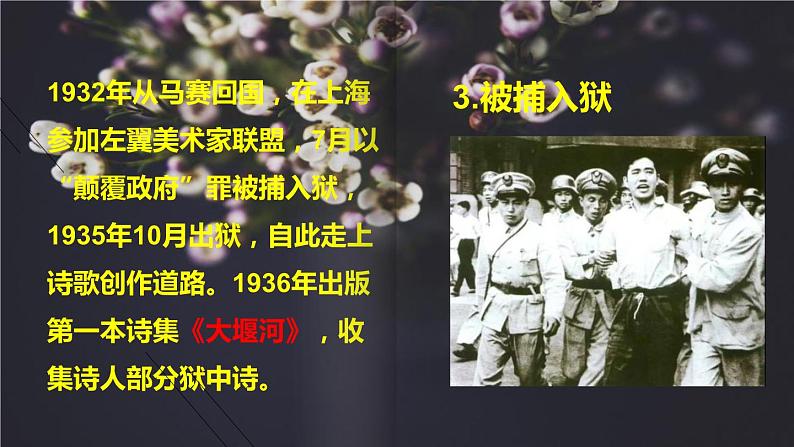 九上语文第一单元名著导读〈艾青诗选〉同步课件第8页