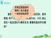 2024-2025学年统编版语文九年级上册 第17课《孤独之旅》【课件】