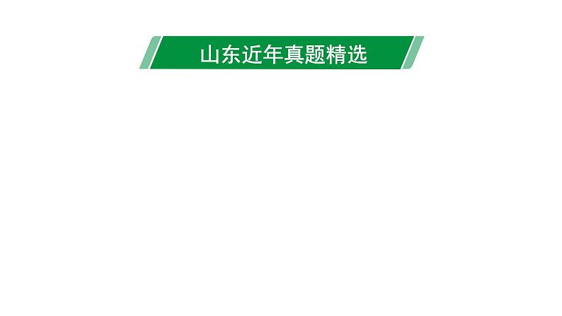 2024山东中考语文二轮 课标古诗词曲鉴赏 （课件）第2页