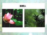 部编版七上语文第3课《雨的四季》课件