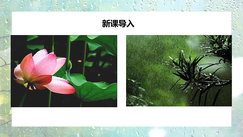 部编版七上语文第3课《雨的四季》课件第2页