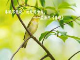 部编版初中语文七年级上册1《春》课件+教案