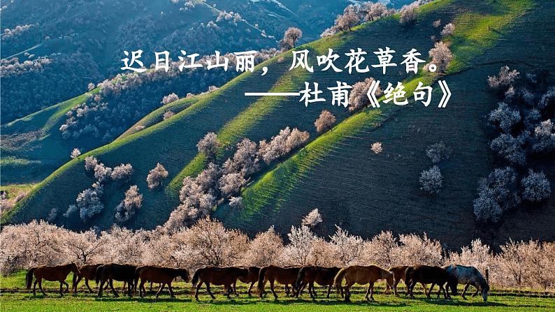 部编版初中语文七年级上册1《春》课件+教案02