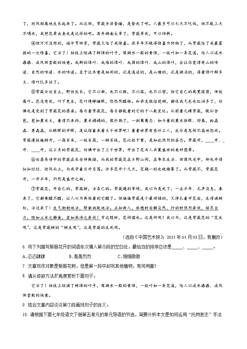 安徽省合肥市瑶海区第三十八中学2023-2024学年七年级下学期期末语文试题03