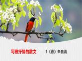 【任务型教学】部编版初中语文七上第一单元1 《春》 课件+教案+学案+同步检测（含答案）