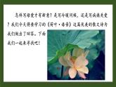 人教部编版初中语文七年级上册 《7.散文诗二首》课件+教案 荷叶母亲