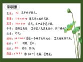 人教部编版初中语文七年级上册 《7.散文诗二首》课件+教案 荷叶母亲