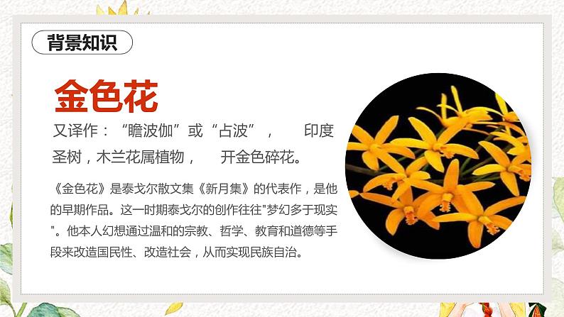 人教部编版初中语文七年级上册 《7.散文诗二首》课件 金色花第7页