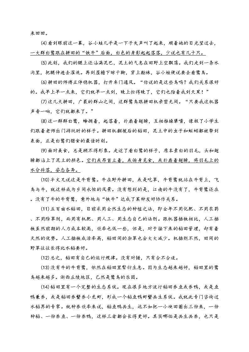 安徽省芜湖市2023-2024学年八年级下学期期末教学质量监控语文试卷(含答案)02